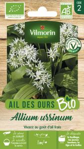 Ail des Ours - BIO